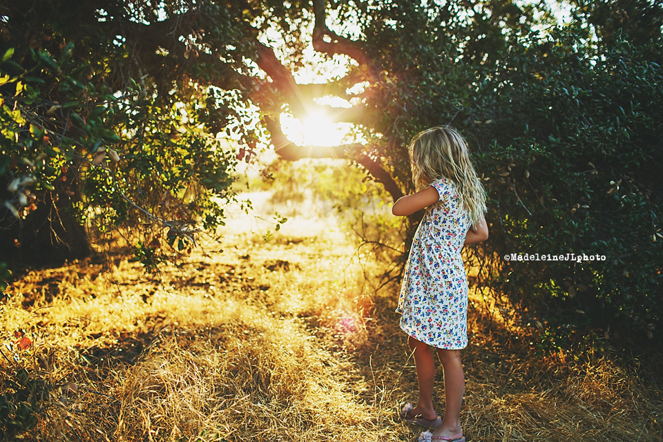 orange county family photographer